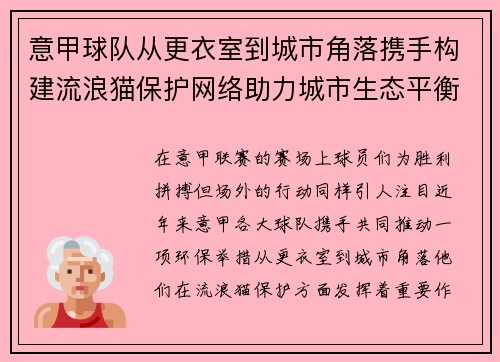 意甲球队从更衣室到城市角落携手构建流浪猫保护网络助力城市生态平衡